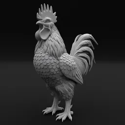 Rooster