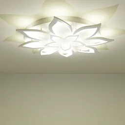 Ceiling Light