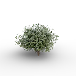 "Small shrub 3D model for Blender 3D - nature outdoor category. Green leaves, branches resembling hair. Game asset for plant and tree."