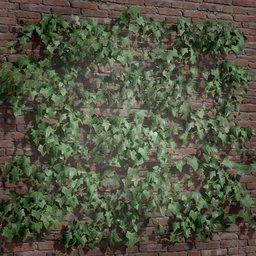 Realistic 3D ivy model with high-quality textures for Blender, ideal for game assets and detailed scenes.