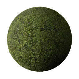 High-resolution 4K PBR Weeds material for grass category in Blender 3D, with easy global settings for efficient texturing.