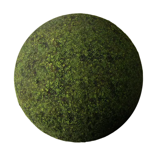 High-resolution 4K PBR Weeds material for grass category in Blender 3D, with easy global settings for efficient texturing.