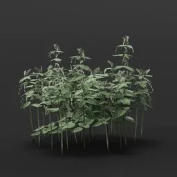Highly detailed 3D nettle bush model for Blender, ideal for game assets or architectural visualization.