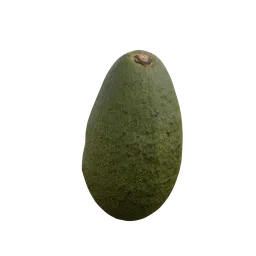 Avocado
