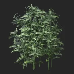 Silver Green Feather Leaf Simple Plant