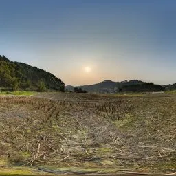 Sunset in the fields