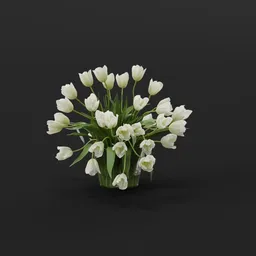 White Tulip