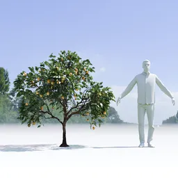 Lemon Tree