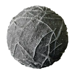Dry Roots in Grey Dirt