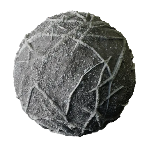 Dry Roots in Grey Dirt