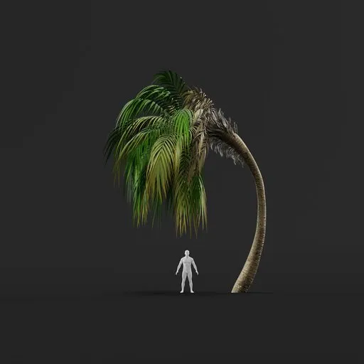 Palm Tree (Spring) - Medium Thick Blown