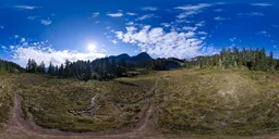 Sunny Cloudy Day Mountain Meadow