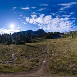 Sunny Cloudy Day Mountain Meadow