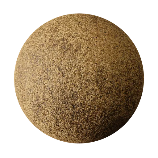 Wheat