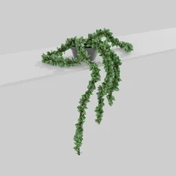 Detailed 3D hanging ivy model with cascading leaves, downloadable for Blender rendering and indoor scene design.