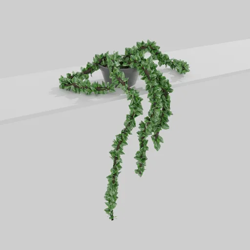 Detailed 3D hanging ivy model with cascading leaves, downloadable for Blender rendering and indoor scene design.