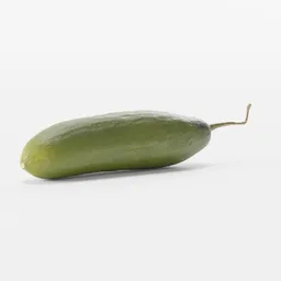 Cucumber