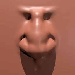 Bulbous Human Nose