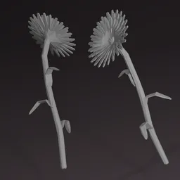 Gerbera
