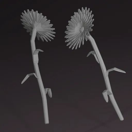 Gerbera