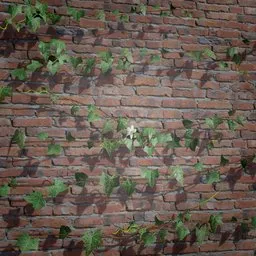Realistic 3D ivy creeper model with high-quality textures, ideal for game environments and 3D Blender scenes.
