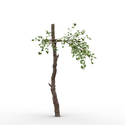 "High quality 3D model of an old tree with few branches for Blender 3D. Perfect for game development or tabletop miniature scenes. Created with Blender 3D software."