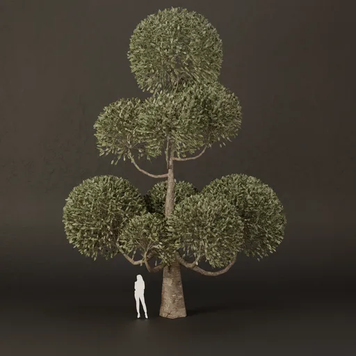 SJ-Ornamental Tree Cloud Zen