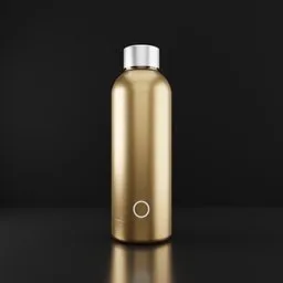 Metal Water Bottle