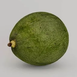 Avocado fruit realistic