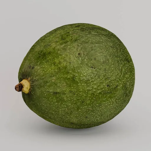 Avocado fruit realistic