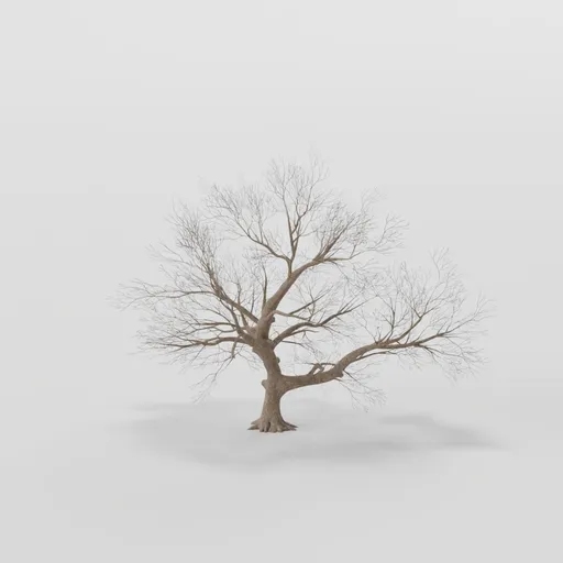 Wide Rottenpine