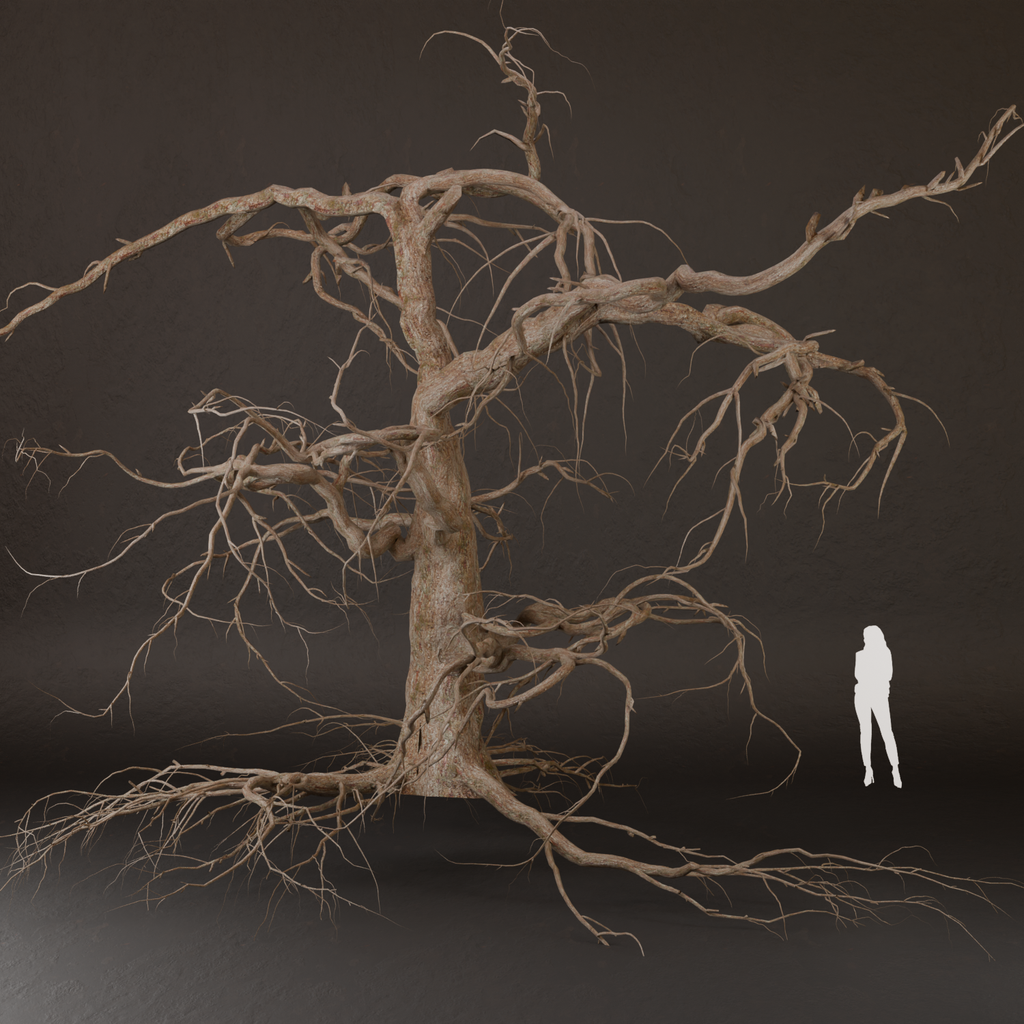 SJ Dried Tree With Branches | Trees models | BlenderKit