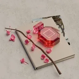 Scene Victoria's Secret