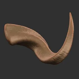 Smooth Curved Horn