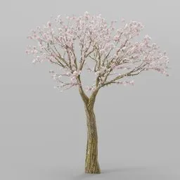 Detailed 3D sakura tree model in full bloom, designed for Blender with realistic textures and lighting.