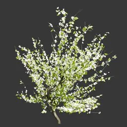 Spring Sakura Tree Small