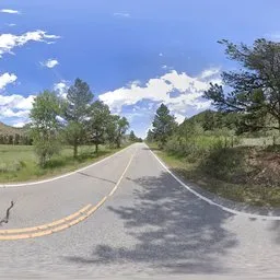 Froest Sunshine Sun Day Blue Sky