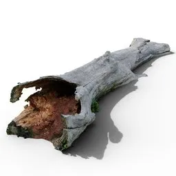 "Medium poly 3D model of a decaying oak tree trunk with normal map created in Blender 3D. Fully shown in a side view with underwater roots, on a riverbank. Ideal for environment elements in renderings and animations."