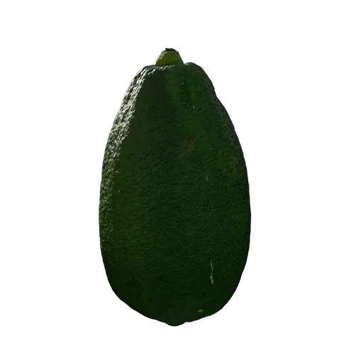 Citrus x limon