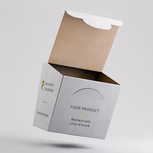 Rigged Tuck Top Packaging Box
