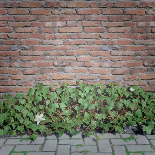 Ivy Creeper Edge 1M 01 01
