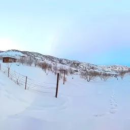 Snowy Fenced Meadow Quiet Winter