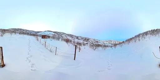 Snowy Fenced Meadow Quiet Winter