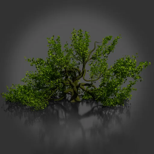 Realistic Tree