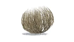 Tumbleweed Animated Looping