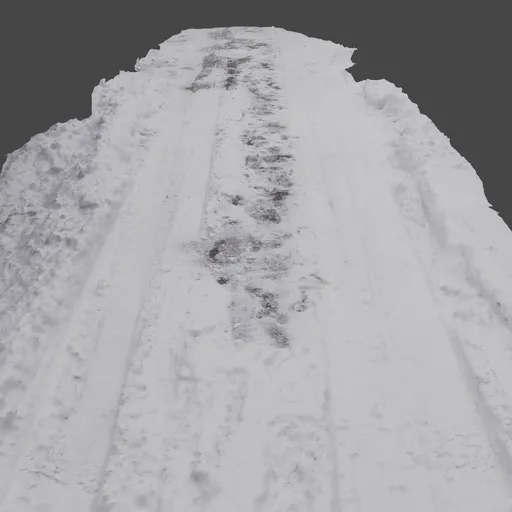 Snow covered Alley Road Photoscan