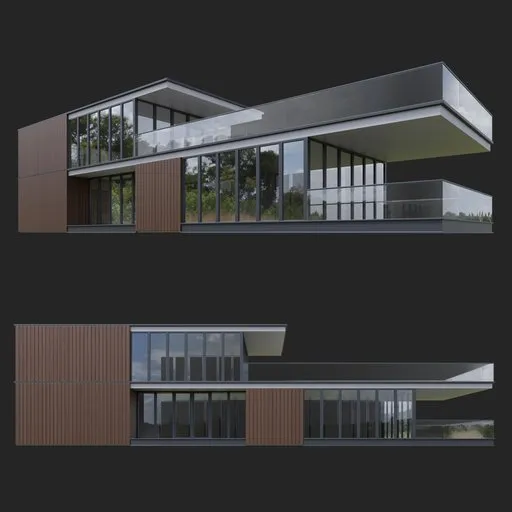 Modern wooden house