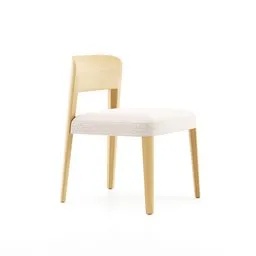Montero Dining Chair