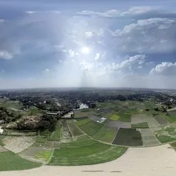 Drone Panorama of a Growing Area