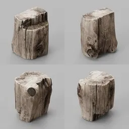 Wooden Stump